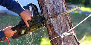 Best Soil Testing and Treatment  in Menomonee Falls, WI