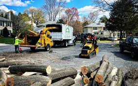 Best Tree Preservation Services  in Menomonee Falls, WI