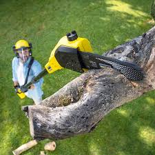 Best Utility Line Clearance  in Menomonee Falls, WI
