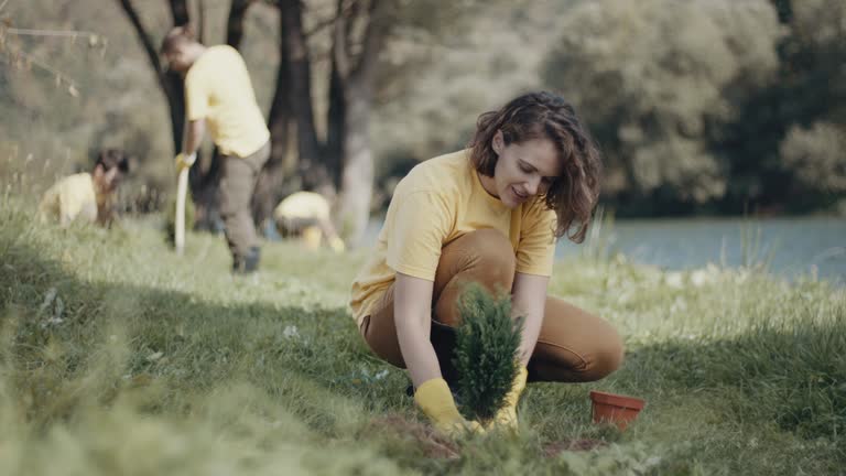 Best Artificial Turf Installation  in Menomonee Falls, WI