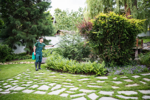 How Our Tree Care Process Works  in  Menomonee Falls, WI
