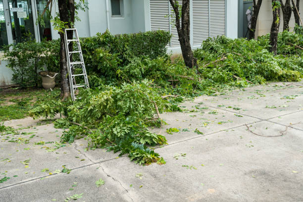 Best Weed Control  in Menomonee Falls, WI