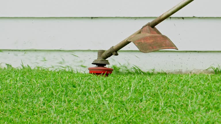 Best Seasonal Cleanup (Spring/Fall)  in Menomonee Falls, WI